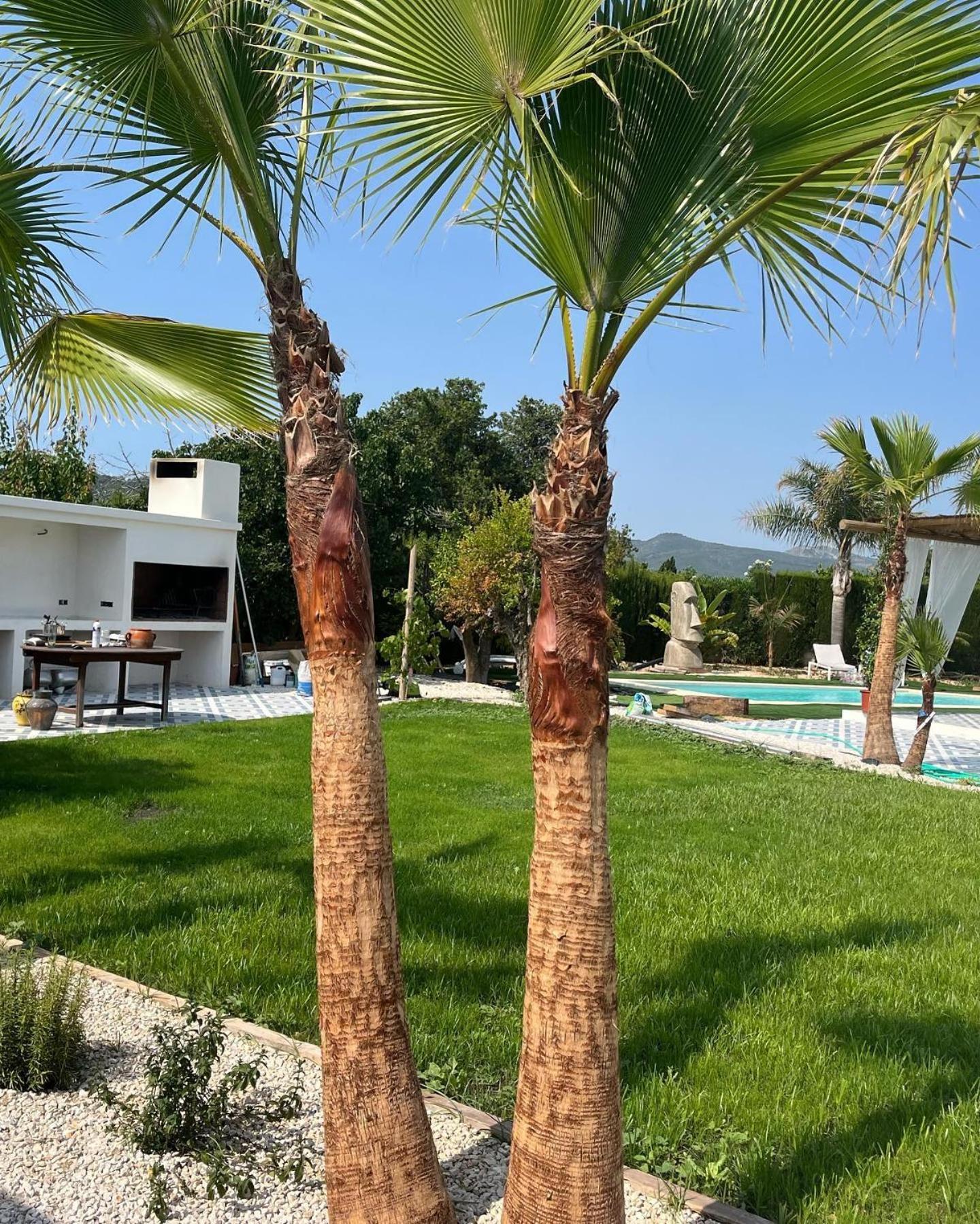 Casanoa Luxury Villa Bed And Breakfast Jávea Buitenkant foto